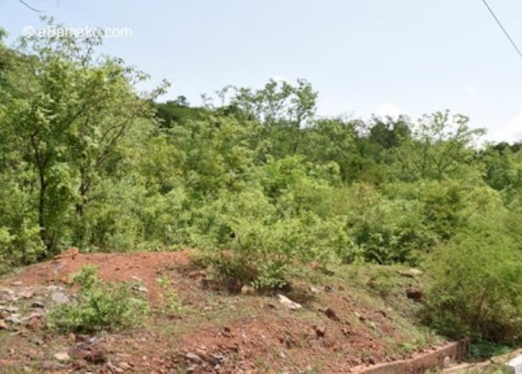 Cette mutation rendait obsolètes les anciens décrets de 2014 et 2018. Il était donc devenu impératif pour le gouvernement d’harmoniser les textes afin de garantir une gestion efficace et de proximité des défis environnementaux.