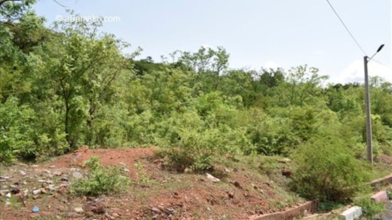 Cette mutation rendait obsolètes les anciens décrets de 2014 et 2018. Il était donc devenu impératif pour le gouvernement d’harmoniser les textes afin de garantir une gestion efficace et de proximité des défis environnementaux.