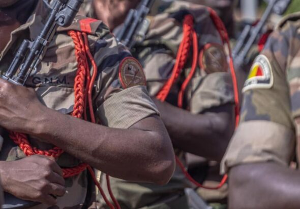 Les soldats concernés sont le cavalier de première classe Mohamed Wangaraba, du 633e escadron de reconnaissance, et le cavalier de première classe Mahamed El Maouloud Diallo, du 635e régiment blindé. Tous deux avaient été enlevés le 9 octobre 2025 sur le fleuve Niger alors qu’ils se trouvaient en permission.