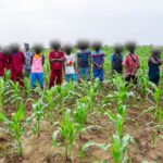 À Baporo, l’humanisation des prisons selon la vision du Chef de l’État prend déjà forme avec la construction d’un immeuble R+1. Selon le Ministre de la Justice Rodrigue Edasso BAYALA, le bâtiment d’un coût d’environ 500 millions FCFA, réunit toutes les commodités pour préserver la dignité humaine en détention. D’une capacité de 500 places, cette infrastructure vient augmenter les capacités d’accueil de ce Centre et améliorer significativement les conditions de détention pour un meilleur rendement des détenus.