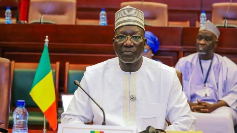 « Le Mali, comme beaucoup de pays africains, doit sortir du piège de la mono-exploitation et de la vulnérabilité aux chocs externes