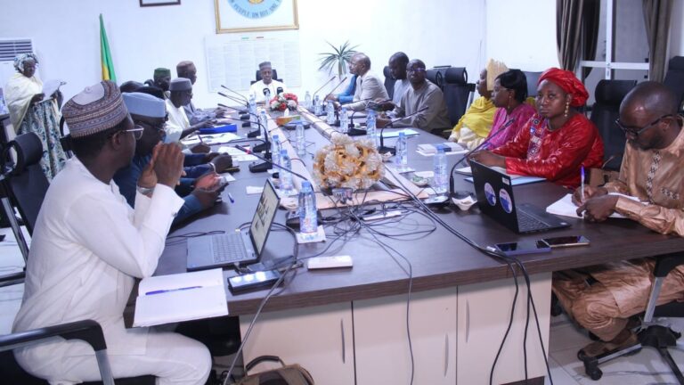 Fruit des consultations intergouvernementales Mali-Allemagne tenues en mai 2025, le projet PADRE+ dispose d'une enveloppe globale de 3.800.000.000 FCFA pour une durée de deux ans, allant du 1er janvier 2026 au 31 décembre 2027. Son ambition est d'impulser des dynamiques socio-économiques concrètes dans soixante communes cibles afin de répondre directement aux besoins des populations locales.