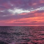 La Commission de l'Union africaine s'inquiète de la dégradation de la situation sécuritaire en mer Rouge. Dans sa déclaration, le président Mahmoud Ali Youssouf estime que les attaques menées contre les navires commerciaux constituent une menace sérieuse pour la stabilité régionale et pour le commerce maritime international.