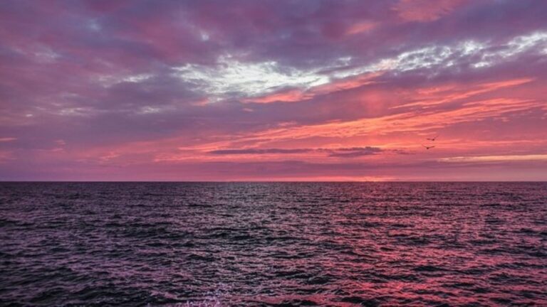 La Commission de l'Union africaine s'inquiète de la dégradation de la situation sécuritaire en mer Rouge. Dans sa déclaration, le président Mahmoud Ali Youssouf estime que les attaques menées contre les navires commerciaux constituent une menace sérieuse pour la stabilité régionale et pour le commerce maritime international.
