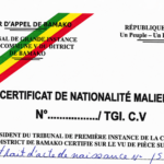 Présenté par le ministre de la Justice et des Droits de l'Homme, Garde des Sceaux, Mamoudou Kassogué, le texte modifie la Loi n°2011-087 du 30 décembre 2011, déjà révisée, qui encadre notamment les conditions d'acquisition, de perte et de déchéance de la nationalité malienne.