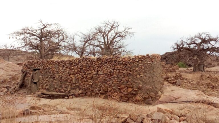 Les villages, fractions et quartiers constituent les entités administratives de base de la République du Mali. Leur création et leur administration sont actuellement régies par la Loi n°06-023 du 28 juin 2006, modifiée.