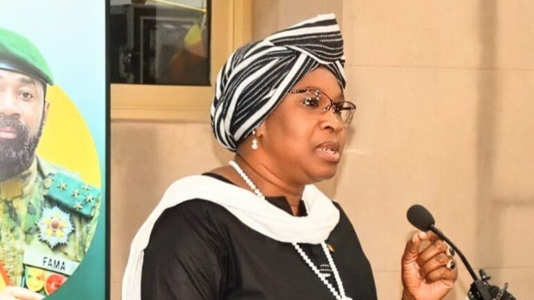 L’initiative s’inscrit dans le cadre du projet régional de renforcement des capacités des organisations féminines et de construction d’un mouvement fort de femmes pour la paix au Sahel, mis en œuvre par ONU Femmes pour l’Afrique de l’Ouest et du Centre avec l’appui du Royaume des Pays-Bas. Elle bénéficie également du soutien du Women’s Peace and Humanitarian Fund, notamment à travers sa Fenêtre de réponse rapide.
