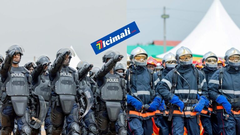 Créée en 2000, l’Inspection des Services de Sécurité et de Protection civile avait pour mission de veiller au bon accomplissement des missions confiées aux services de sécurité et de protection civile. Sa création avait été consacrée par l’Ordonnance n°0055/P-RM du 27 septembre 2000, tandis que son organisation et ses modalités de fonctionnement étaient fixées par le Décret n°01-071/P-RM du 12 février 2001.