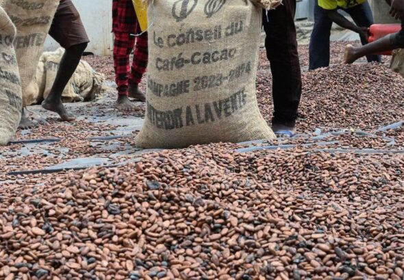 L’I2C aura notamment pour mission de « reprendre l’initiative scientifique » sur le café et le cacao. Il devra ainsi contribuer à répondre aux enjeux de compétitivité et de maîtrise des standards du marché mondial.
