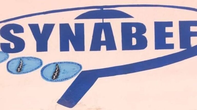 Dans son communiqué N°0023, signé par son secrétaire général, Hamadoun Bah, le SYNABEF informe ses structures de base, ses sections et ses divisions régionales de l’exclusion des deux responsables syndicaux de Coris Bank Mali.