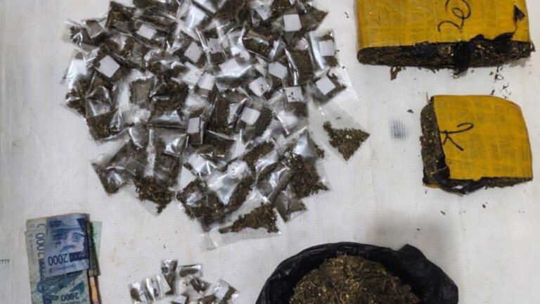 À Sola, les agents ont interpellé un homme de 29 ans, identifié par les initiales M. T. Les fouilles ont notamment permis de découvrir 6 070 comprimés de tramadol et 100 comprimés de diazépam. Les agents ont également saisi divers produits conditionnés en sachets, environ trois kilogrammes de produits pharmaceutiques contrefaits ainsi qu’une somme d’argent dont le montant n’a pas été précisé.